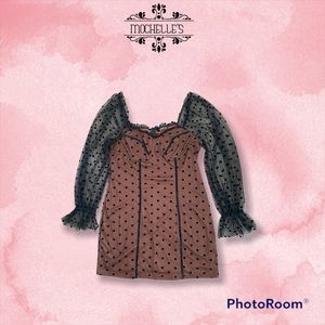 Brown Dress with Mesh Sleeves